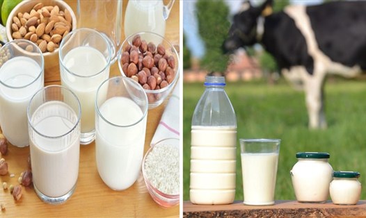 Sữa thực vật hay sữa bò đều có mang lại lợi ích riêng cho sức khoẻ và cơ thể chúng ta.