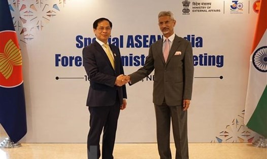 Bộ trưởng Ngoại giao Bùi Thanh Sơn và Bộ trưởng Ngoại giao Ấn Độ S. Jaishankar. Ảnh: TTXVN