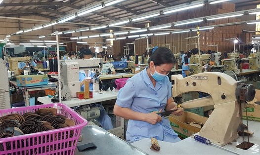 Công nhân nhà máy da giày trong giờ làm việc. Ảnh: Lương Hạnh