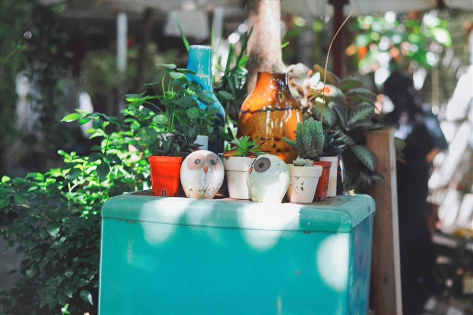 Làm vườn có nhiều lợi ích cho sức khỏe. Ảnh: Doãn Hằng