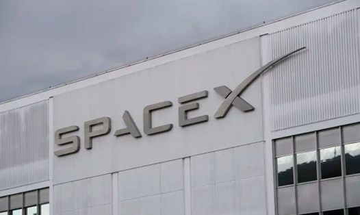 SpaceX lựa chọn tin tưởng Musk và sa thải nhân viên viết bức thư chỉ trích Elon Musk. Ảnh chụp màn hình