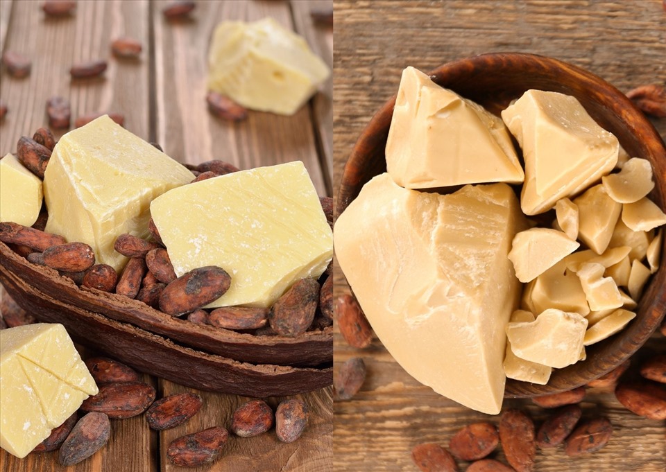 Bơ cacao giúp nuôi dưỡng mái tóc bóng mượt. Đồ họa: Doãn Hằng