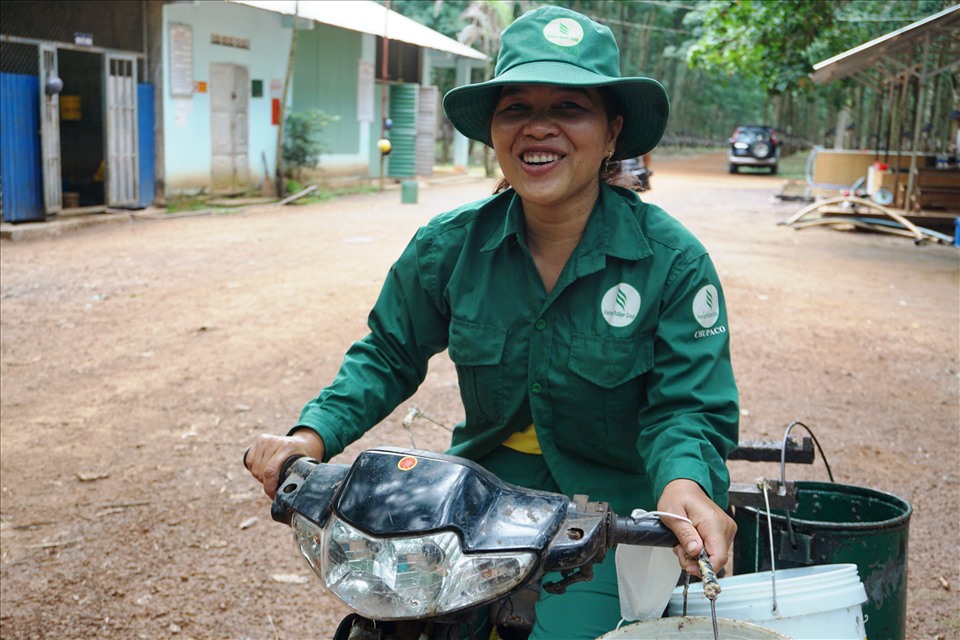 Công nhân vui mừng khi giá mủ caosu trên đà tăng