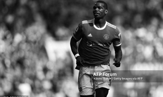 Pogba sẽ thoát khỏi bóng tối tại Man United.  Ảnh: AFP