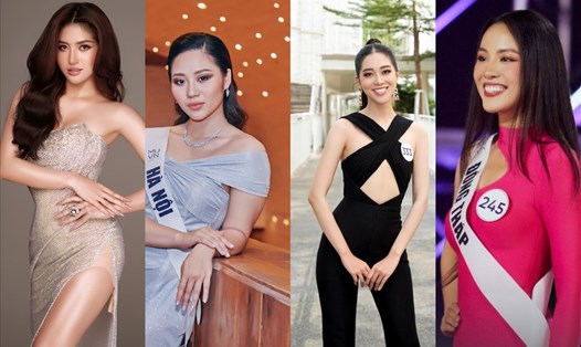 Dàn người đẹp có học vấn khủng tại "Hoa hậu Hoàn vũ Việt Nam". Ảnh: MU.