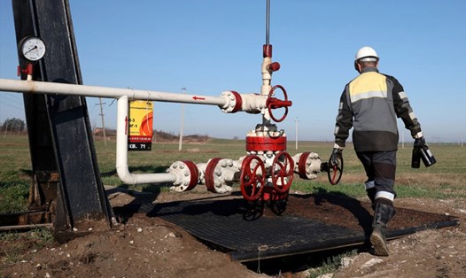 Nga kiếm tiền tốt từ xuất khẩu dầu sang Châu Á. Ảnh: Ria Novosti