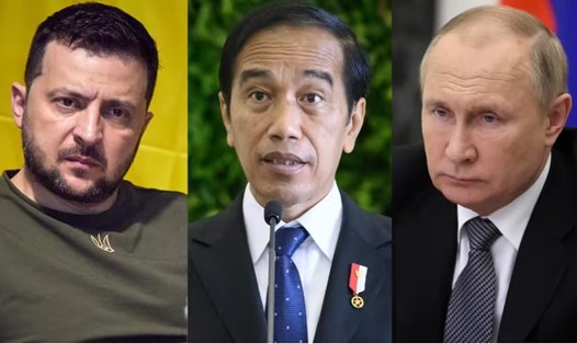 Tổng thống Indonesia Joko Widodo (giữa) sẽ gặp lãnh đạo Nga và Ukraina trong tháng này. Ảnh chụp màn hình