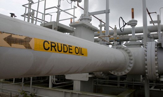 Giá dầu thế giới giảm hơn 7 USD. Ảnh: Reuters.