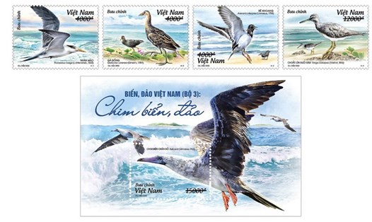 Bộ tem “Biển, đảo Việt Nam (bộ 3): Chim biển, đảo”.