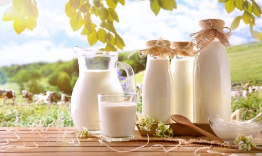 Sữa là một trong những thực phẩm giúp tăng cân nhanh chóng. Ảnh: iStock