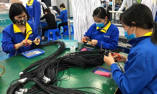 Công nhân một doanh nghiệp thiết bị điện tại tỉnh Bắc Giang. Ảnh: N.H
