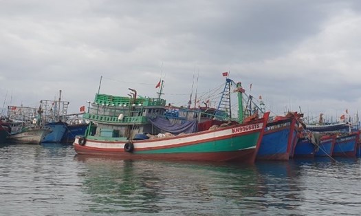 Giá xăng dầu tăng cao đã ảnh hưởng nghiêm trọng đến nghề đánh bắt thủy, hải sản. Ảnh: HL