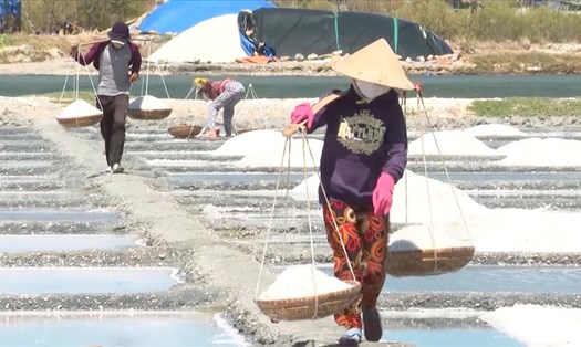Diêm dân Phú Yên điêu đứng vì muối được giá nhưng mất mùa.