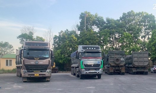 Những chiếc xe quá tải trọng, cơi nới bị phát hiện trên cao tốc Nội Bài - Lào Cai. Ảnh: Cục Cảnh sát giao thông