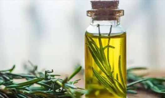Tinh dầu hương thảo có tác dụng làm giảm đau khớp và đầu gối. Ảnh: Shutterstock