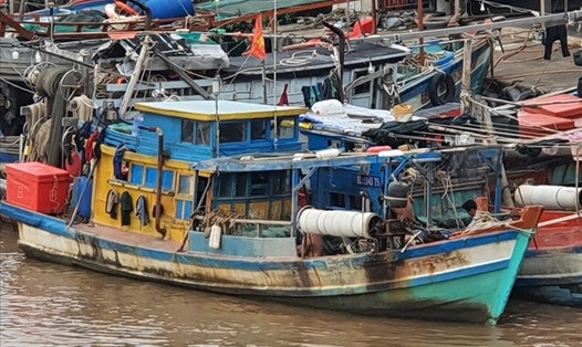 Giá dầu tăng, nhiều tàu cá tại tỉnh Bạc Liêu không dám ra khơi. Ảnh: Nhật Hồ