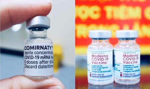 Hai loại vaccine Pfizer và Moderna còn tồn đọng, có nguy cơ phải hủy bỏ. 
Ảnh: Thùy Linh
