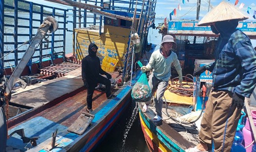 Giá dầu cao trong khi hải sản đánh bắt được ít nên tàu cá của nhóm ngư dân do anh Ân làm thuyền phó này mệt mỏi, phiền lòng. Ảnh: Trần Tuấn.