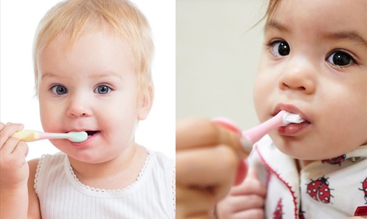 Nên tập cho trẻ đánh răng hai lần một này khi trẻ mọc răng. Đồ họa: Doãn Hằng
