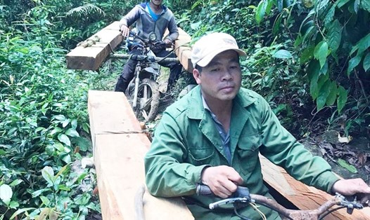 Lâm tặc vận chuyển gỗ từ rừng huyện Krông Pa qua Đắk Lắk tiêu thụ. Ảnh: T.T