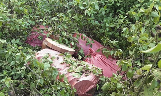 Lực lượng chức năng tỉnh Điện Biên vừa phát hiện và thu giữ hàng trăm lóng gỗ nghiến dạng thớt thuộc nhóm IIA. Ảnh: Duy Khánh