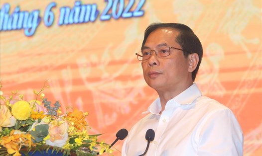Ủy viên Trung ương Đảng, Bộ trưởng Bộ Ngoại giao Bùi Thanh Sơn phát biểu kết luận hội nghị chiều 29.6. Ảnh: Thành Nam