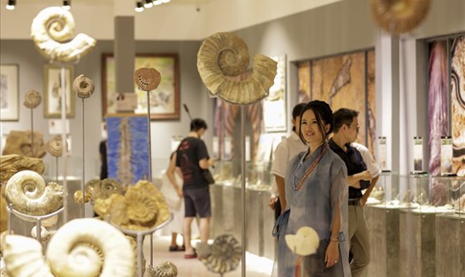 Ca sĩ Hồng Nhung tham quan triển lãm hoá thạch.