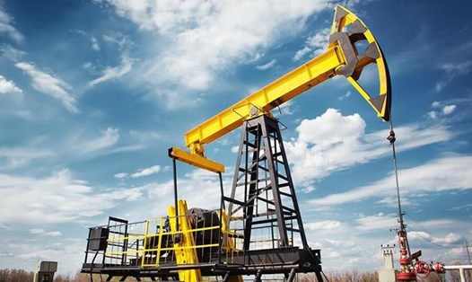 Tổ chức các nước xuất khẩu dầu mỏ và đồng minh OPEC+ cam kết tăng sản lượng khoảng 650.000 thùng/ngày. Ảnh: Reuters