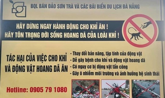Ban quản lý Bán đảo Sơn Trà và các bãi biển du lịch Đà Nẵng đã có những biện pháp nhằm khuyến cáo du khách không cho khỉ ăn khi tham quan Bán đảo Sơn Trà.
