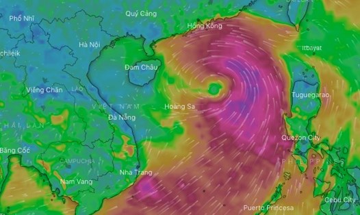 Lớp hướng gió trên biển khi bão số 1 năm 2022 đang hoạt động Ảnh: WINDY.