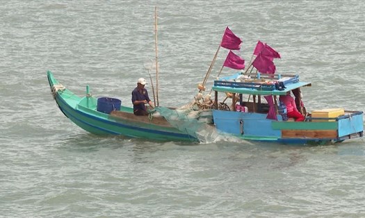 Ngư dân cửa biển Gành Hào, Bạc Liêu khai thác hải sản