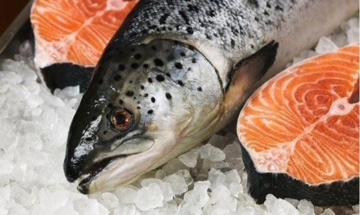 Khi mua cá cũng cần lựa chọn kĩ để đảm bảo thực phẩm tươi ngon.