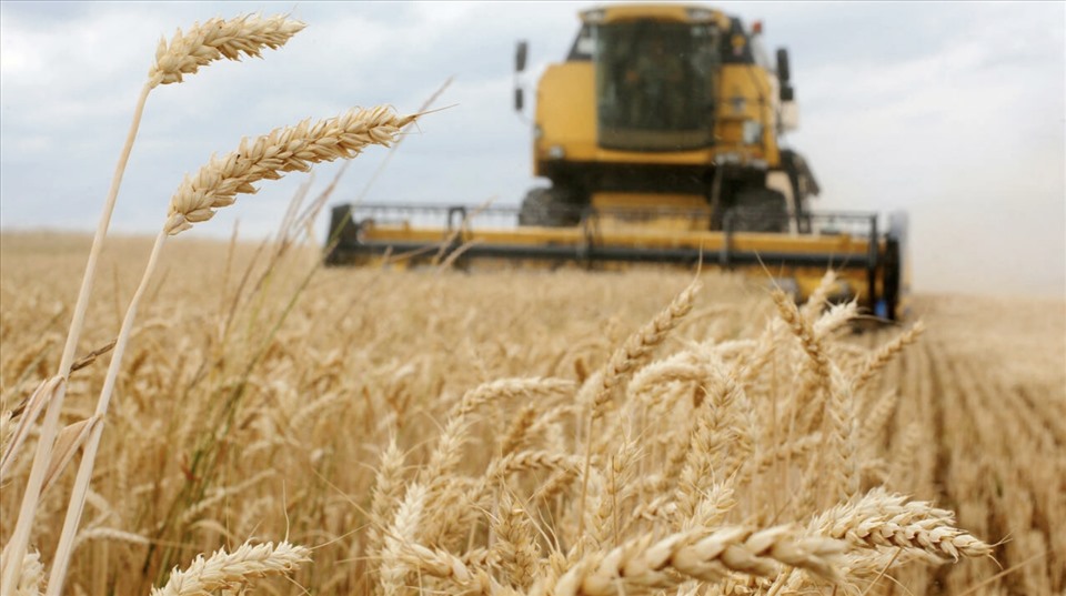 Russia reacts to Ukraine's condition for resumption of grain exports