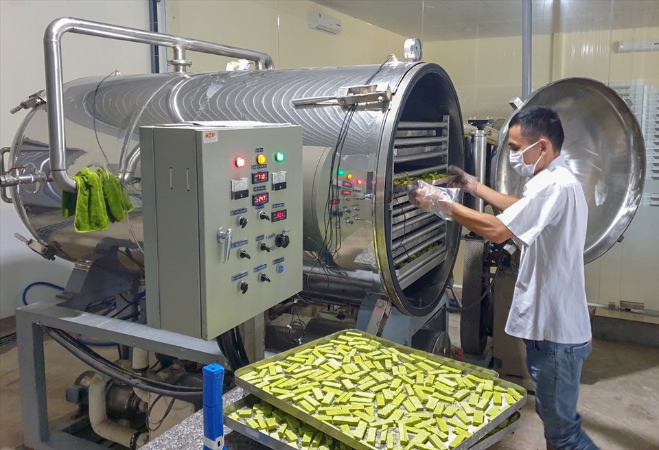 Khoa học công nghệ và đổi mới sáng tạo góp phần tăng trưởng kinh tế. Ảnh KHCN