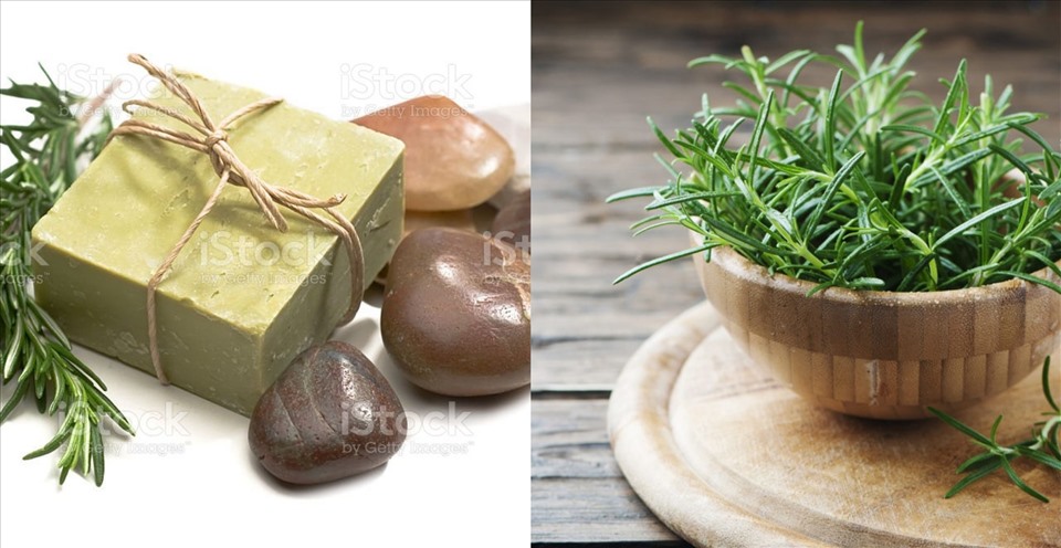 Ngoài công dung là hương liệu trong nấu nướng, hương thảo còn có tác dụng làm sạch da dầu. Ảnh: Doãn Hằng