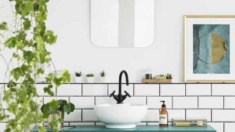 trang trí cửa sổ bằng cây xanh