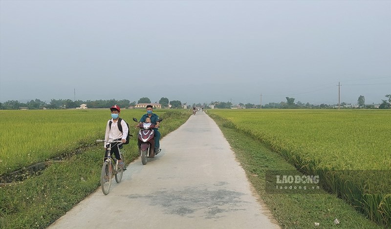 laodong.vn