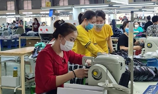 Nữ công nhân một công ty may xuất khẩu của tỉnh Trà Vinh Ảnh: T.D