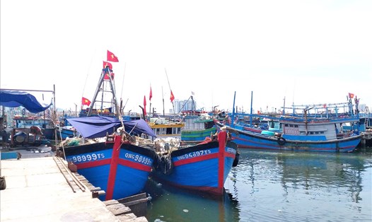Xăng dầu tăng làm 50% tàu cá Đà Nẵng đậu bờ, kiến nghị hỗ trợ ngư dân. Ảnh: TT