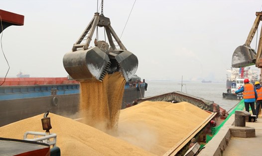 Nga và Ukraina có thể sớm đạt thoả thuận về xuất khẩu ngũ cốc. Ảnh: Getty