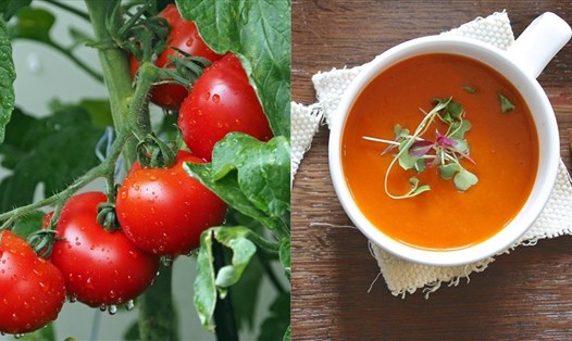 Súp cà chua chứa nhiều vitamin, là thức ăn dinh dưỡng cho mọi lứa tuổi. Ảnh: Doãn Hằng