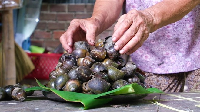 Cách làm món ốc gác bếp miền Tây béo, ngon và bổ dưỡng