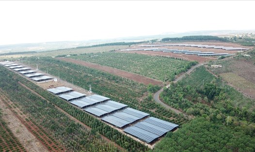 Một dự án điện mặt trời ở tỉnh Gia Lai. Ảnh T.T
