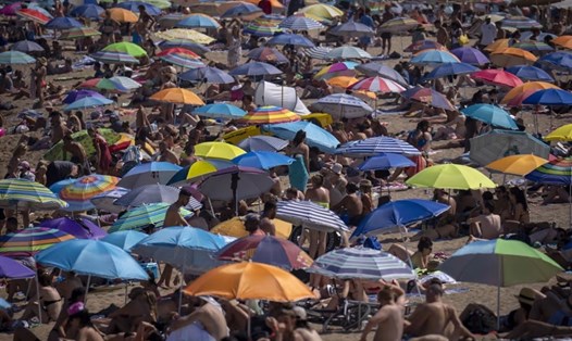 Bãi biển chật kín ở Barcelona, ​​Tây Ban Nha giữa thời tiết nắng nóng gay gắt. Ảnh: AP
