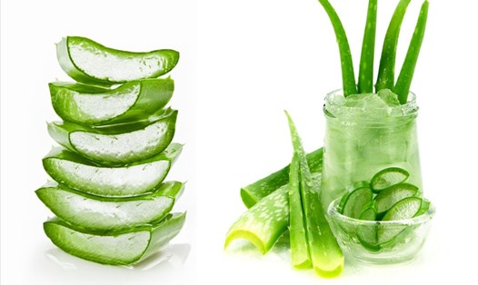 Nha đam giúp đôi môi mềm mại, hồng hào. Đồ họa: Doãn Hằng