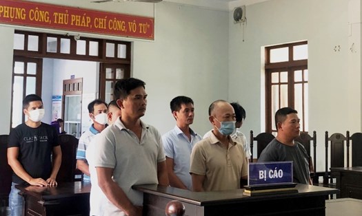 Phú Yên: Cá độ qua hình thức đá gà, nhiều đối tượng lãnh án tù