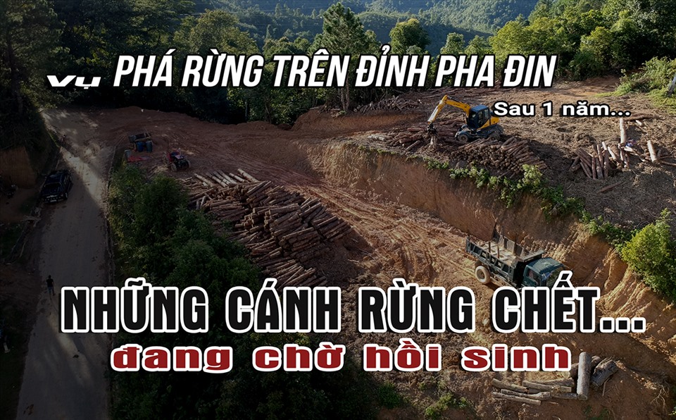 Vì sao vụ phá rừng trên đỉnh Pha Đin bất động sau hơn 1 năm?