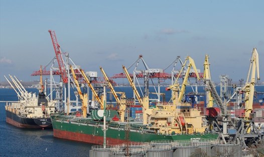 Tàu chở hàng cập cảng Biển Đen Odessa, Ukraina, ngày 4.11.2016. Ảnh: Reuters