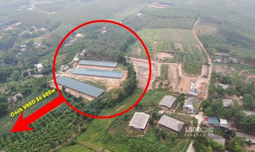 Vị trí trang trại trái phép lớn nhất trên đất rừng sản xuất nằm sát khu dân cư, chỉ cách UBND xã Lam Sơn khoảng 600m. Ảnh: Anh Tâm.