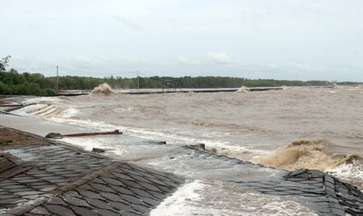 Đê biển Tây tỉnh Cà Mau bị sạt lở nghiêm trọng. Ảnh: Nhật Hồ